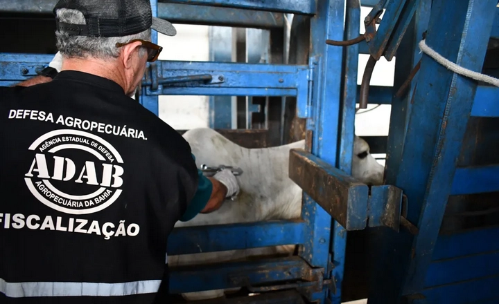 Concurso ADAB BA 2026: 200 Vagas para Fiscal e Técnico Agropecuário